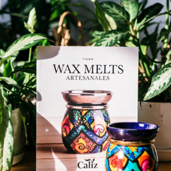 Curso Wax Melts + Bonus